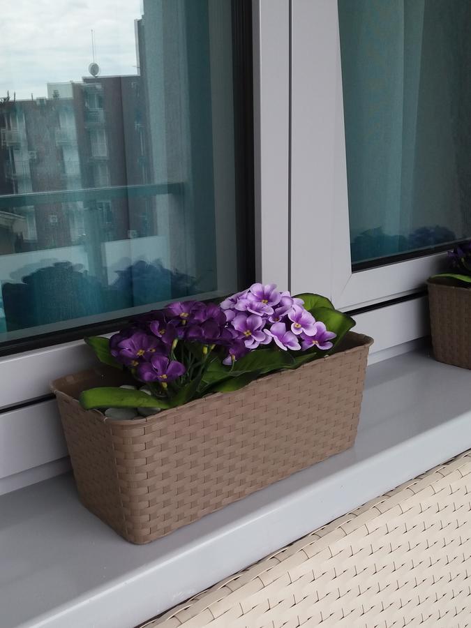 Apolonia Lux Apartment Budva Eksteriør billede